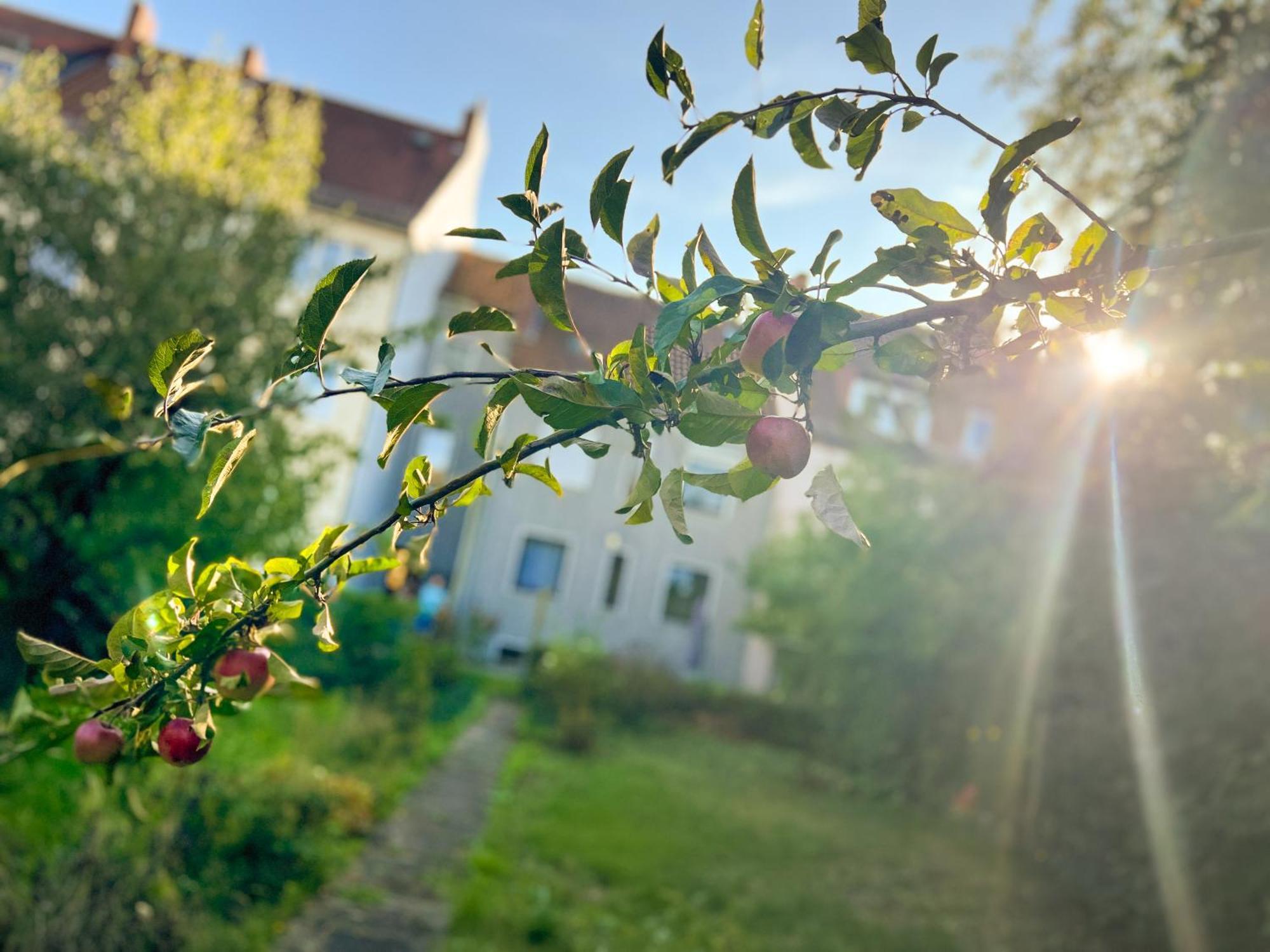 Immostay #8 - Haus Fuer 13 Personen Mit 7 Zimmer - Grosser Garten & Grill, Free Parking, Wlan Bremen Bagian luar foto